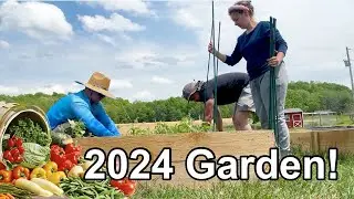 Planting My 2024 Vegetable Garden!