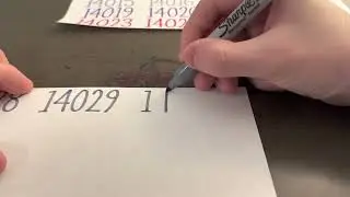 Writing 