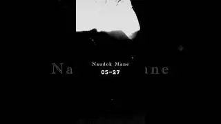 NAUDOK MANE 05-27