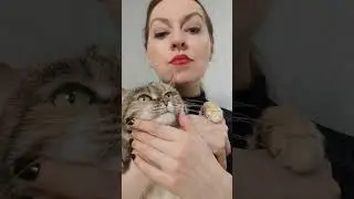 Донаты для канала 