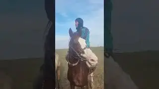 мамырбай аксакал татары бесте бес,Багылан палуан