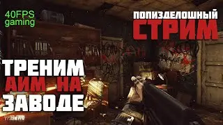EFT - Попизделошный. Боль новичка в ТАРКОВЕ
