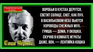 Снежная баба,  Саша Чёрный, Русская Поэзия, читает Павел Беседин