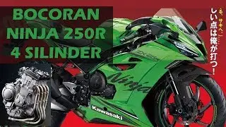 Ini Dia Kawasaki Ninja 250R bermesin 4 silinder mirip ZX 10RR