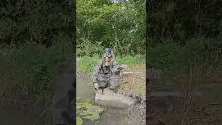 Иван-Царевич и нифига какая волшебная лягушка!!! Подписывайтесь. #рекомендации #юмор #прикол #elvibe