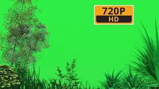 grass green screen effect | Free | GSE background | Green Screen Effect Minhaj ||New gse background