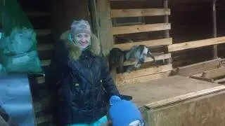 Сегодня не мой день. Одни расстройства.