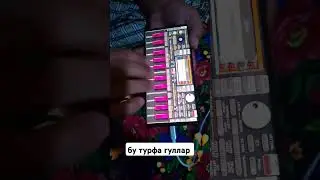 12 августа 2024 г.