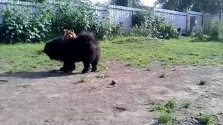 VID 20170807 1605351