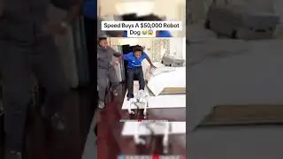 Speed buys a $50,000 robot dog!