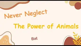 Animal Analysis 111