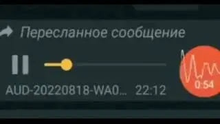 Подожди барашка домой зашла - мем, оригинал