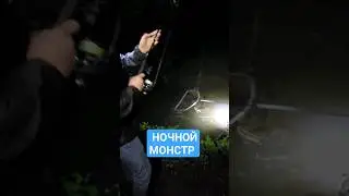 #youtubeshorts #youtuber #fishing #рыбалка #спиннинг #рекомендации #рек #сомики