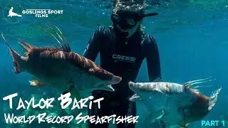 Taylor Barit: World Record Spearfisher - Part 1