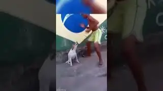 Когда водила протянул AUX (ща включу) Все мои волки делают АУФ