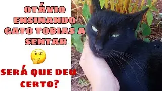 Otávio ensinando o gato Tobias a sentar, será que deu certo?