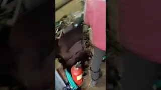 13 февраля 2024 г.