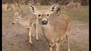 Ep. 73: 