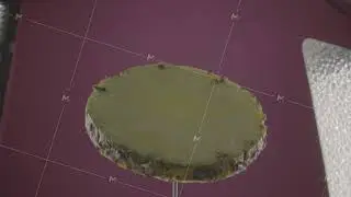 Pineapple rotating with loop on fuchsia screen for chroma key