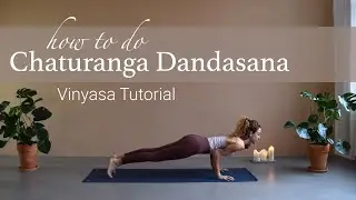 Vinyasa Chaturanga Dandasana for Beginners | Four Limbed Staff Yoga Pose
