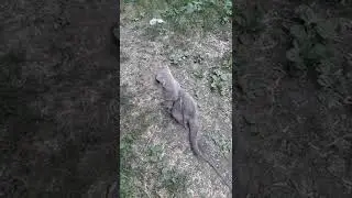 Куда же пойти.