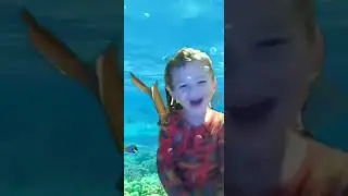 luke in ocean