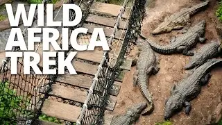 Wild Africa Trek | Disney's Animal Kingdom