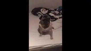 :D
