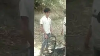 comedy, vinay,rajbhar, video up50, azamgarh