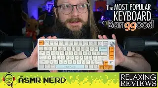ASMR | Is the MOST POPULAR Keyboard on Banggood...Good? 🤔 Blitzwolf BW-KB3 Review & Sound Test ⌨