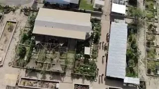 Drone Footage over A.T.C. - Arizona Tortoise Compound