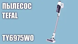 Пылесос Tefal TY6975WO
