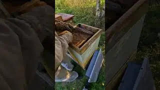ЧТО ТАМ У НАС ? 