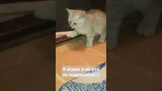 такие игры