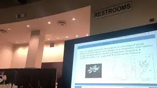 Sanchez Reyes: Leveraging databases to reveal the dated Tree of Life