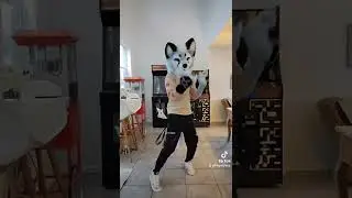 Everything's Great ❤️ (Furry Dance Trend)