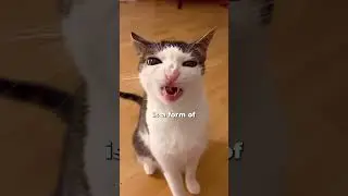This is why