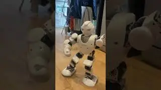 New Toy: Alpha 1 Dancing #robotics