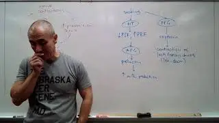 Renal and reproductive reflexes