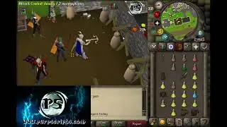 ⚡ PurpScripts Insane RSPS PvP Tool for RuneScape ⚡