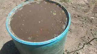 Азотное удобрение из куриного помёта.Рецепт,применение.