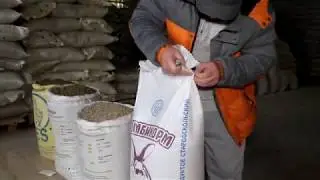 ТЕСТИРУЕМ КОМБИКОРМ ДЛЯ КРОЛИКОВ С ТРАВЯНОЙ МУКОЙ И ОТКОРМ.