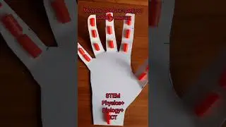 Роборука из картона. Robo arm