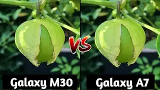 Samsung Galaxy M30 VS Samsung Galaxy A7 Camera Comparison, Which is Better Camera,Galaxy M30 Review