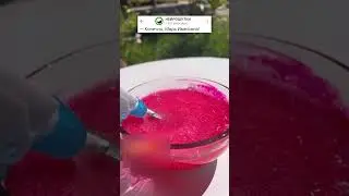 ЛУЧШИЙ УРОК В ИХ ЖИЗНИ🤣  