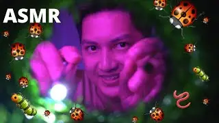 ASMR BUGS🐞 In The Bush | Mouth Sound