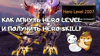Hero Level + Hero Skill в Dragon Nest