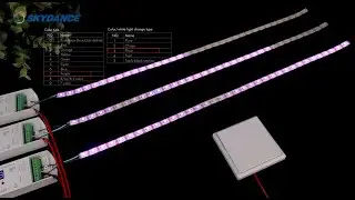 Stair Light & Celling SPI Controller Ready to Sell ( Human Body Trigger or Push Switch Control)