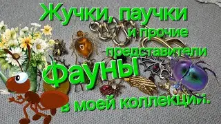 МОИ НАСЕКОМЫШИ!ЖУЧКИ, ПАУЧКИ И ПРОЧИЕ ПРЕДСТАВИТЕЛИ ФАУНЫ В МОЕЙ ВИНТАЖНОЙ КОЛЛЕКЦИИ. 🕷🐝🕸