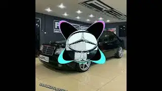 Мерседес mers_king
